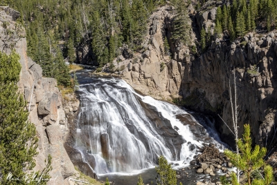 Little Gibbons Falls Yellowstone NP 2024